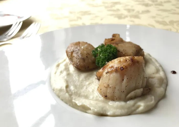 Hotel De La Forêt Hazebrouck